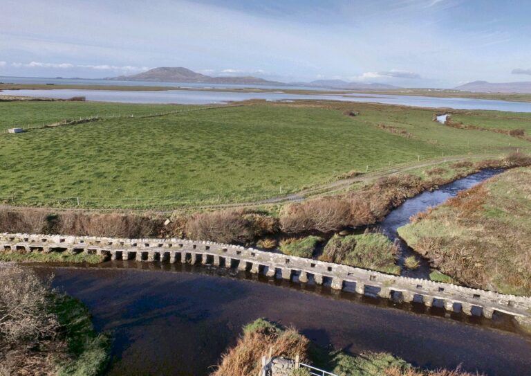 WhatsApp Image 2023-06-08 at 14.13.39 (2)