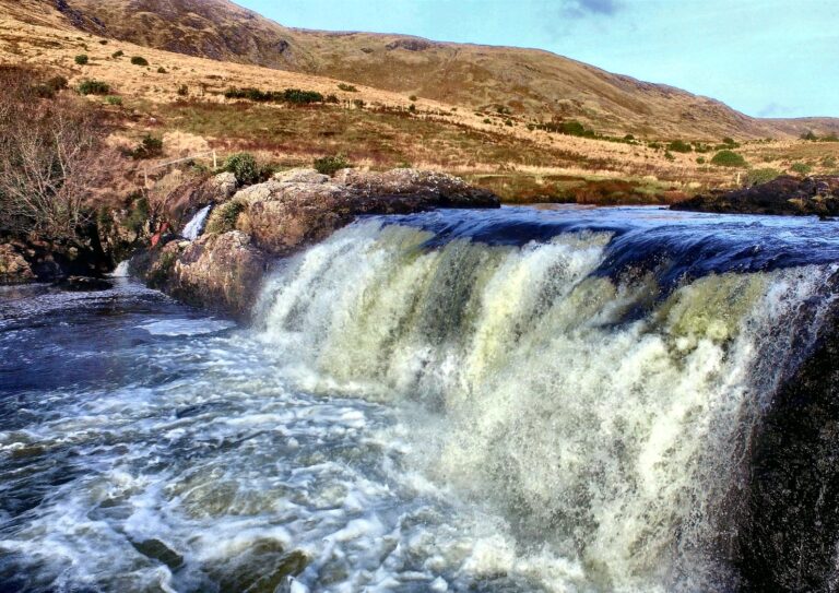 WhatsApp Image 2023-06-08 at 14.13.39