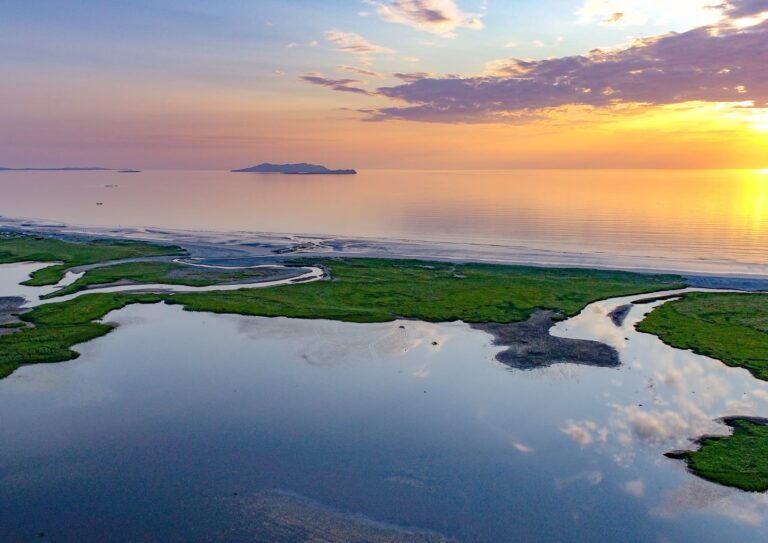 WhatsApp Image 2023-06-08 at 14.13.41